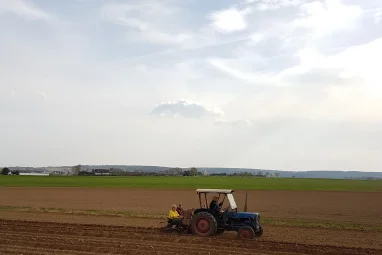 Frische Kartoffeln vom Sonnenhof